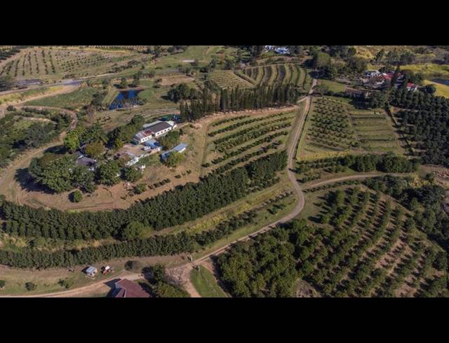 FARM FOR SALE IN SHELLY BEACH